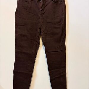Style & Co. Curvy Skinny Leg Pants in Chocolate Brown